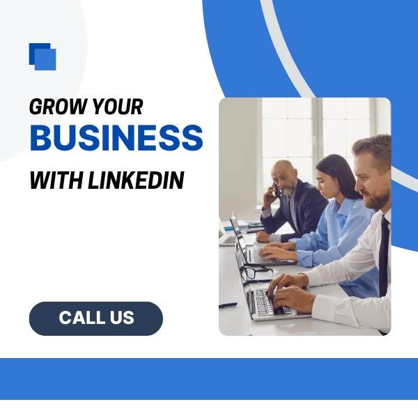LinkedIn For Large & Small Business